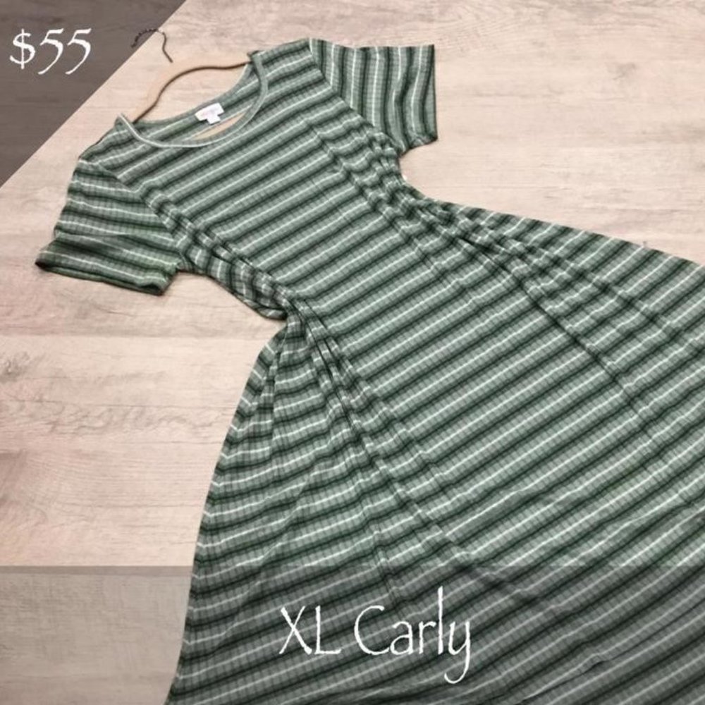 Lularoe CARLY Swing Dress Size XL New with Tags